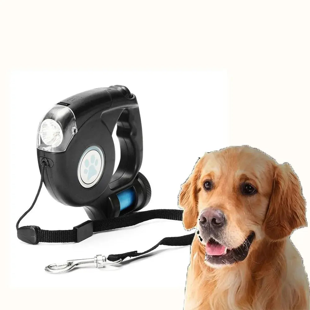ÉclairaPaw - Laisse LED Rétractable pour Promenades Sécurisées - Rynova
