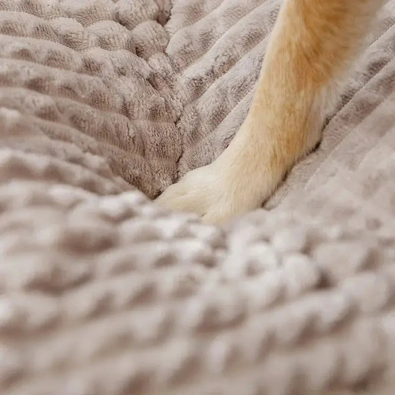 Câlinou | Tapis de Lit Chauffant pour Animaux de Compagnie - Rynova