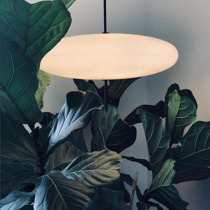 ÉléganceLumière – Éclairage LED Ovale Élégant - Rynova