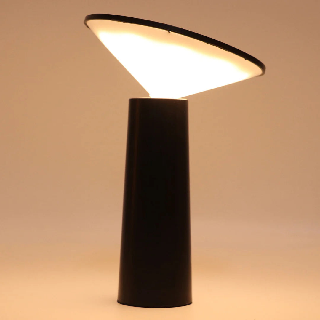 FlexiLume – Lampe LED Extérieure avec Bras Ajustable et Éclairage Pivotant - Rynova
