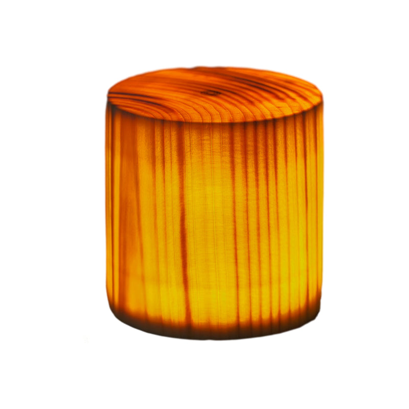 LumiNature - Lampe de Table Sans Fil avec Éclairage LED Tactile - Rynova