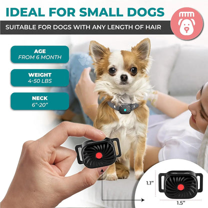 ChienTranquille - Collier Anti-Aboiement pour Petits Chiens - Rynova