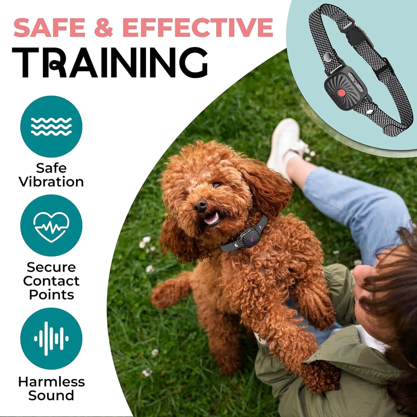 ChienTranquille - Collier Anti-Aboiement pour Petits Chiens - Rynova