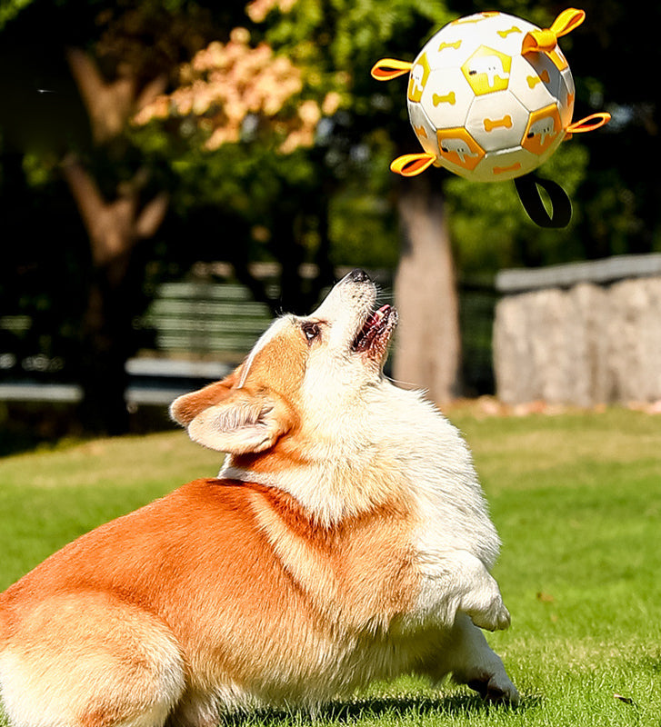 JOUET BALLON DE FOOT INTERACTIF POUR CHIENS - Avec Pompe à Air Gratuite - Rynova