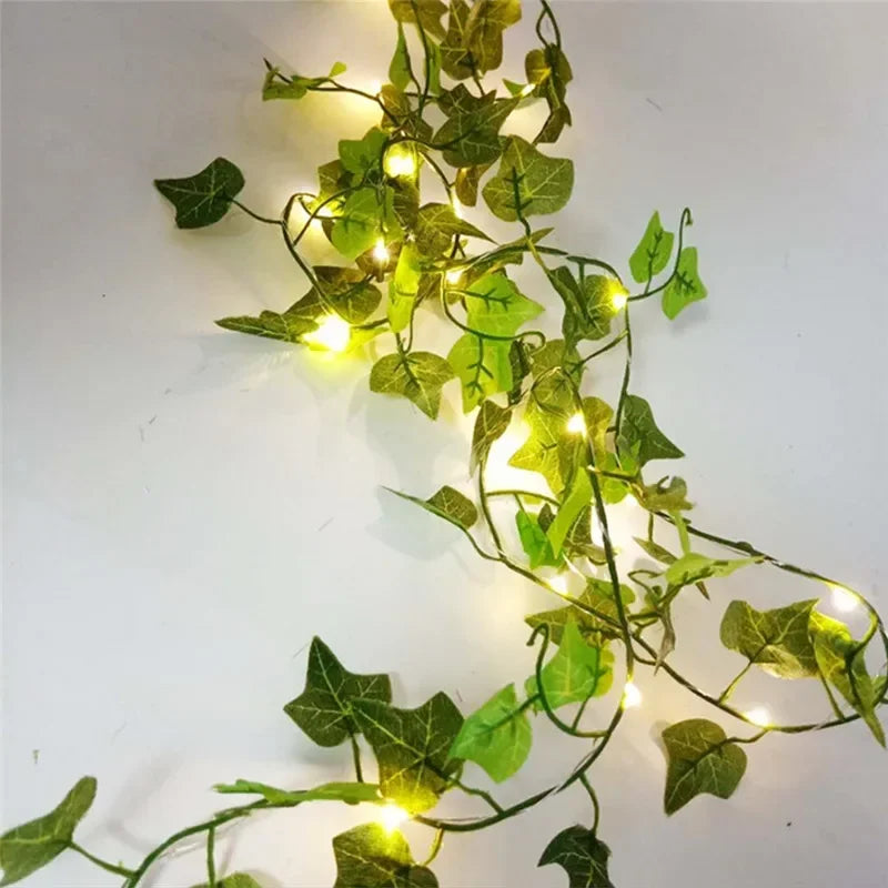 LumiVigne – Guirlandes Lumineuses Décoratives - Rynova