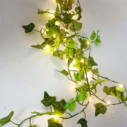 LumiVigne – Guirlandes Lumineuses Décoratives - Rynova