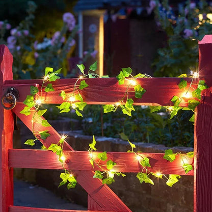 LumiVigne – Guirlandes Lumineuses Décoratives - Rynova