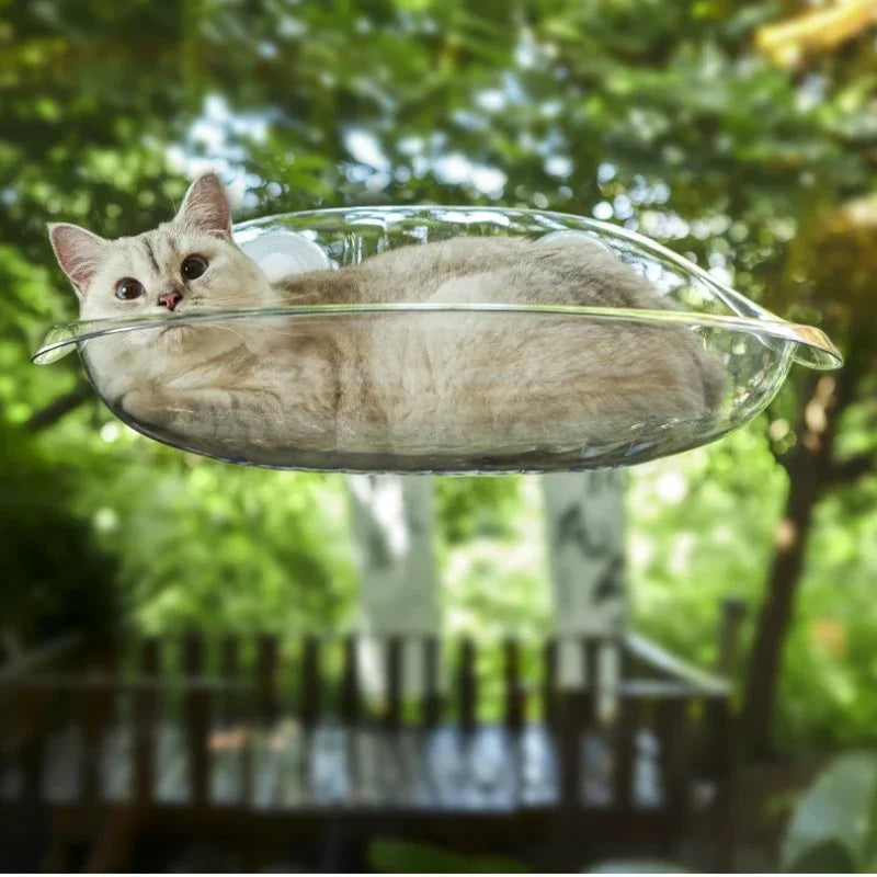 Lit Fenêtre pour Chat LuxiCat – Hamac de Fenêtre Relaxant - Rynova