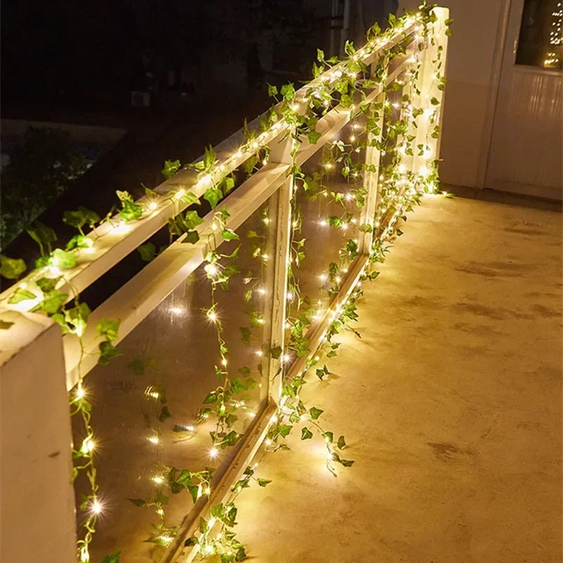 LumiVigne – Guirlandes Lumineuses Décoratives - Rynova