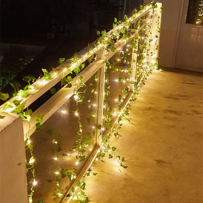 LumiVigne – Guirlandes Lumineuses Décoratives - Rynova