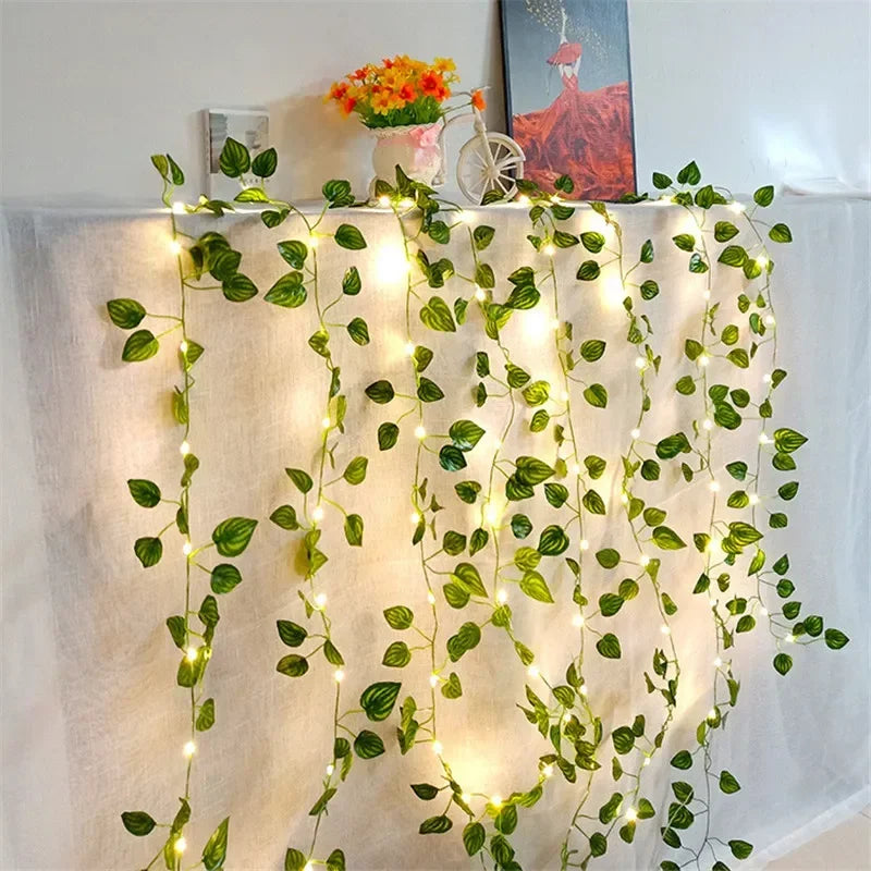 LumiVigne – Guirlandes Lumineuses Décoratives - Rynova