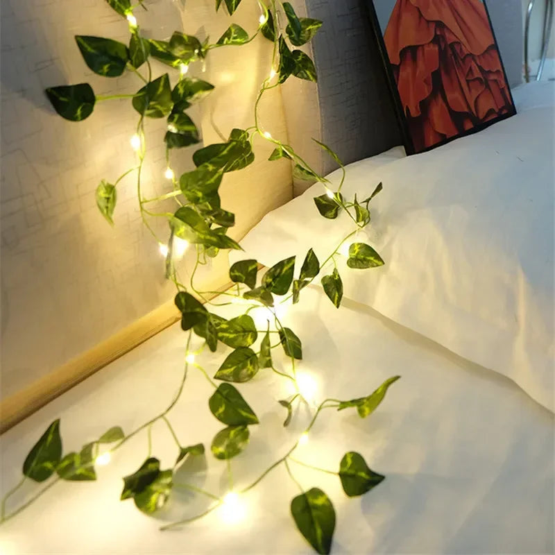 LumiVigne – Guirlandes Lumineuses Décoratives - Rynova