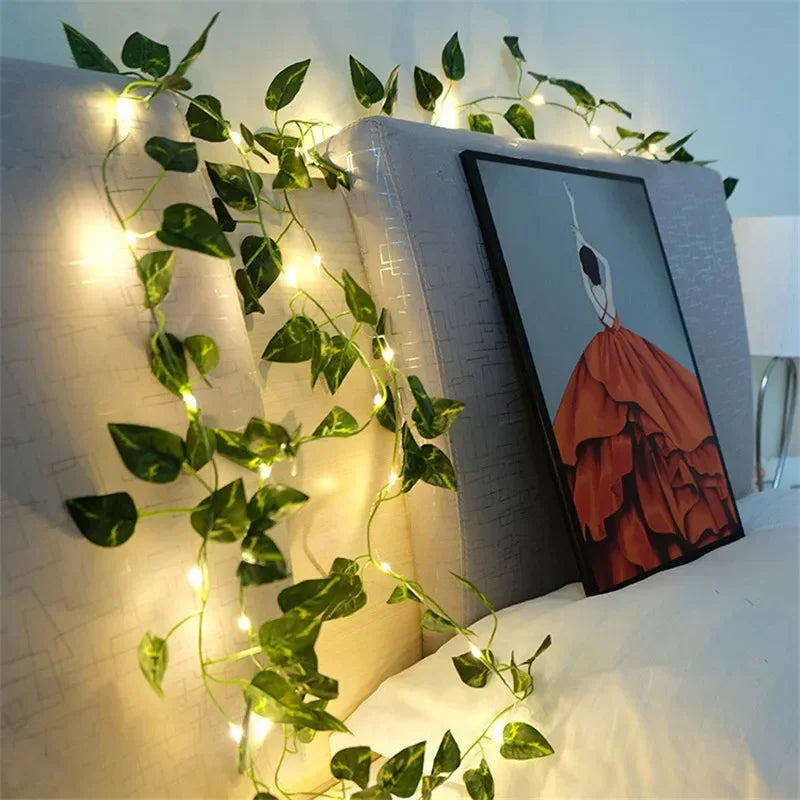LumiVigne – Guirlandes Lumineuses Décoratives - Rynova