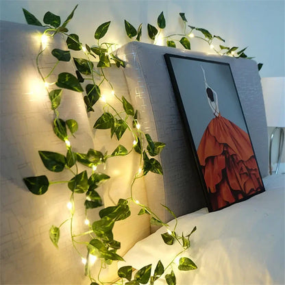 LumiVigne – Guirlandes Lumineuses Décoratives - Rynova
