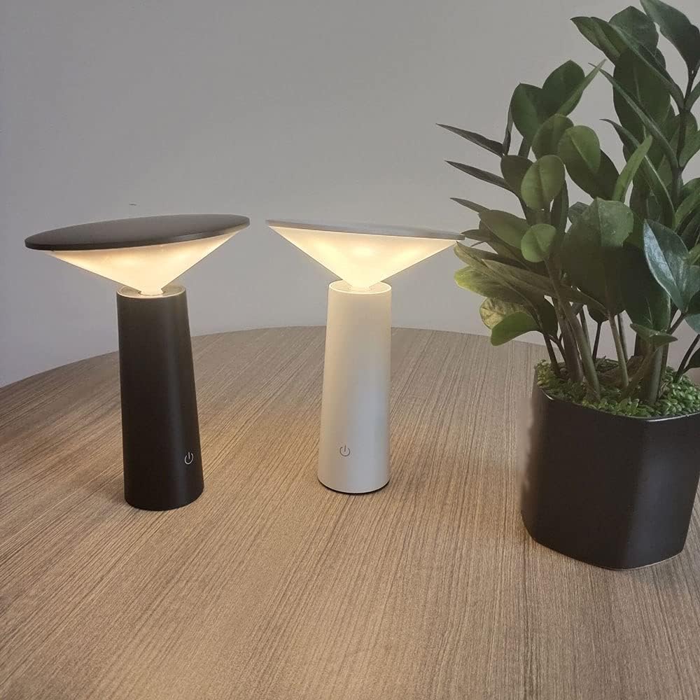FlexiLume – Lampe LED Extérieure avec Bras Ajustable et Éclairage Pivotant - Rynova