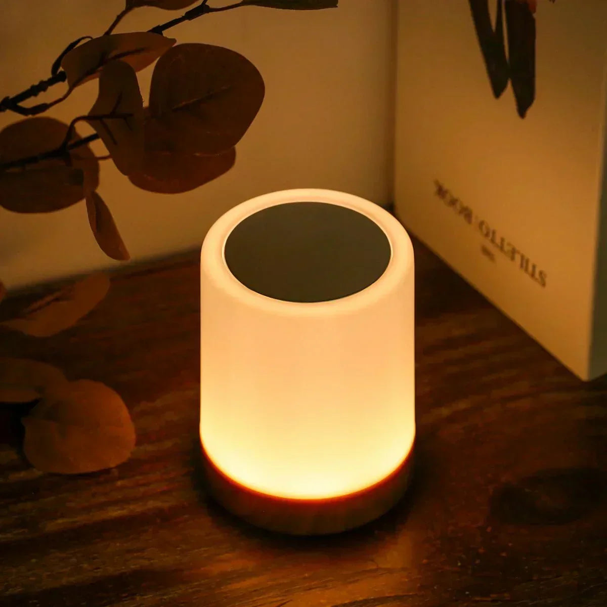 LumiHalina – Lampadaire Élégant avec Commande Tactile et Éclairage Personnalisable - Rynova